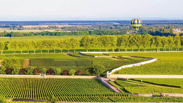 montgolfière vignobles Bourgogne