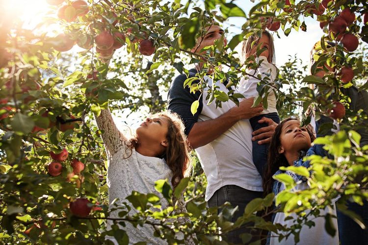 famille activités campagne