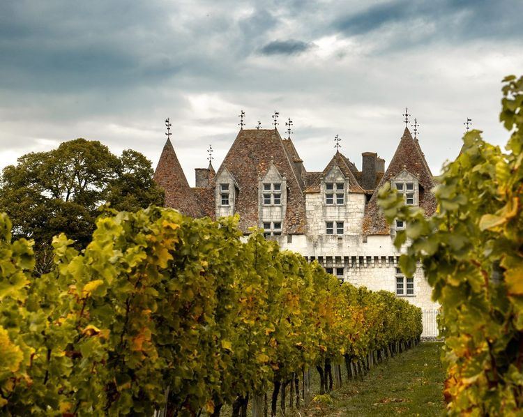 Château de Monbazillac