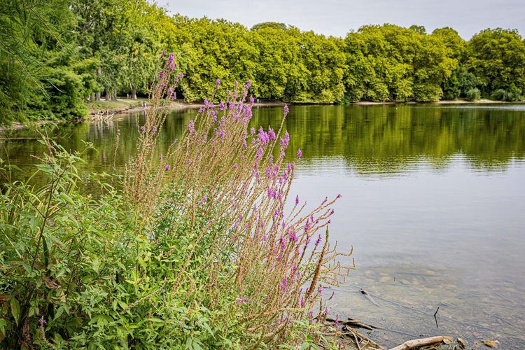 Lac Marion Biarritz