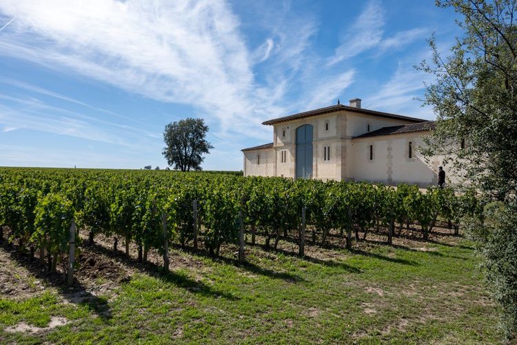 château viticole Bordeaux