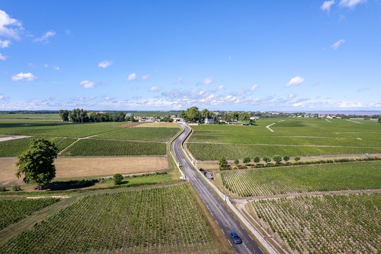 Route des vins Médoc