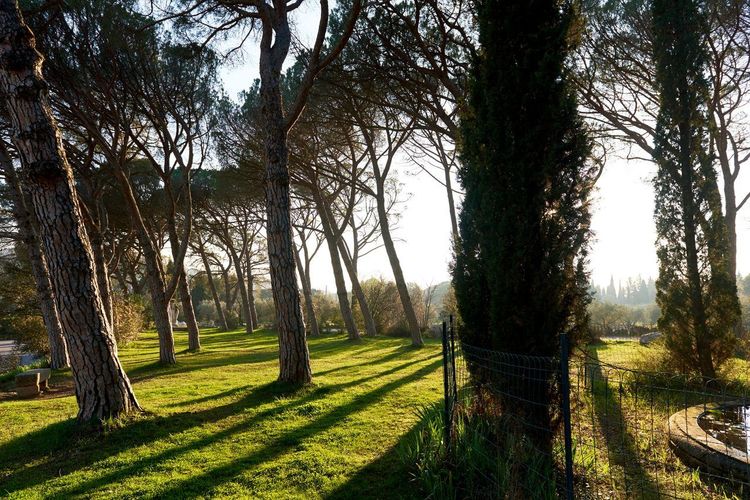 Parc de l'Ermitage Lormont