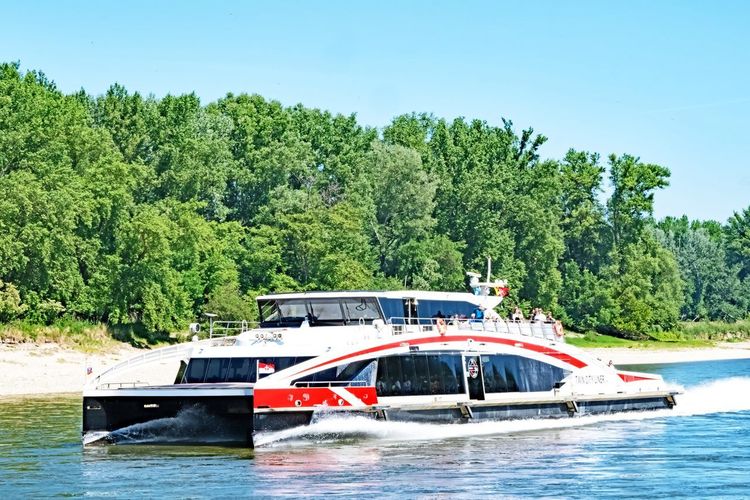 Vienne Bratislava Danube