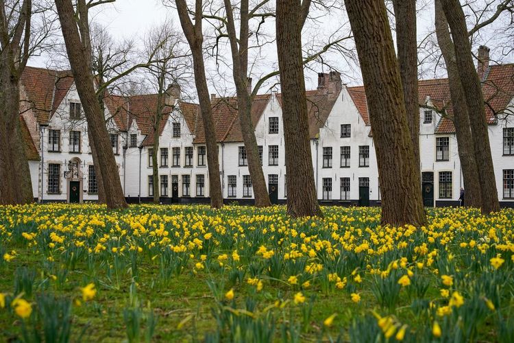 Béguinage de Bruges