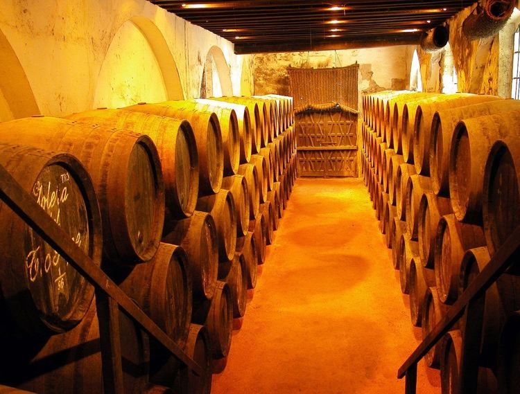 caves de sherry Jerez