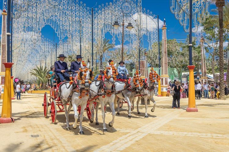 Jerez de la Frontera chevaux