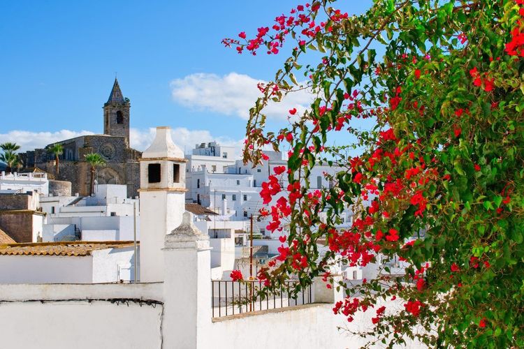 Vejer de la Frontera