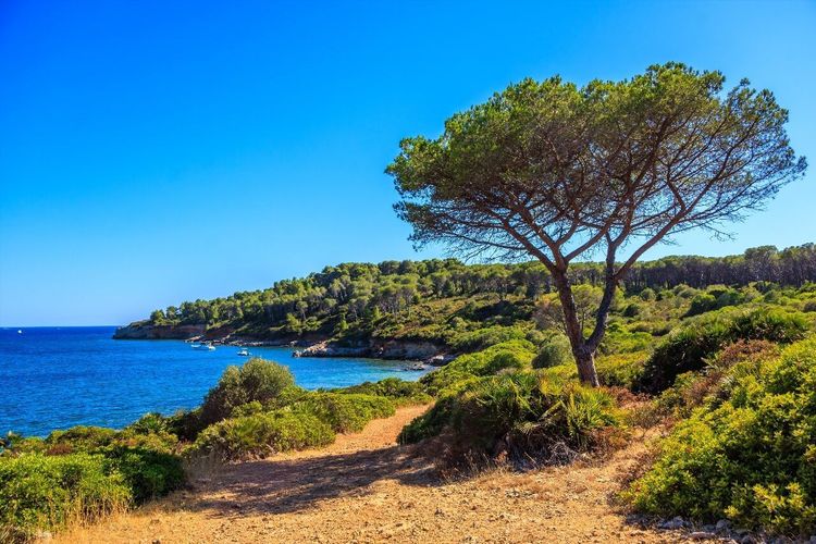 plage de Beaumer