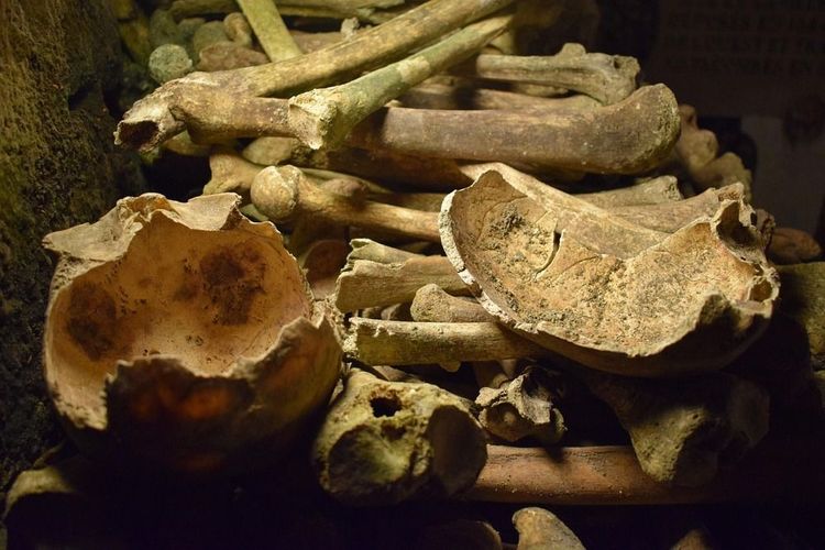 reduction-ossements-catacombes