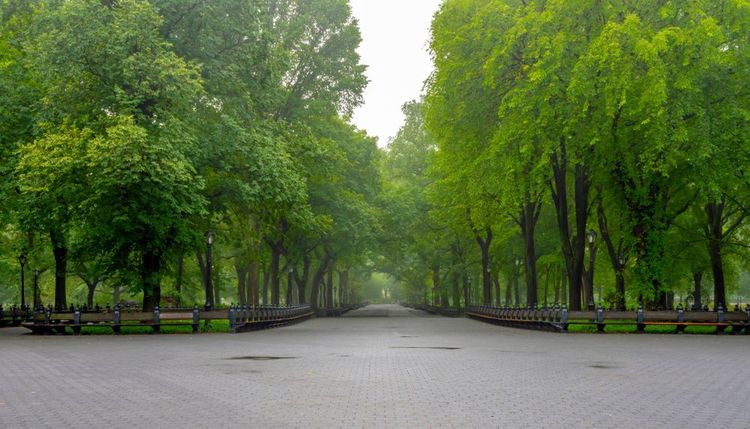 the-mall-central-park