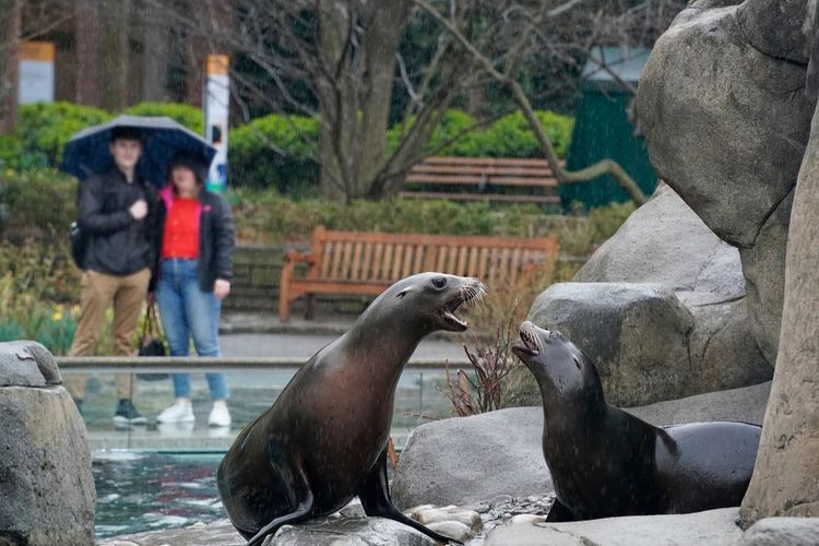 zoo-central-park