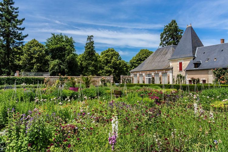 jardin-chateau-cheverny