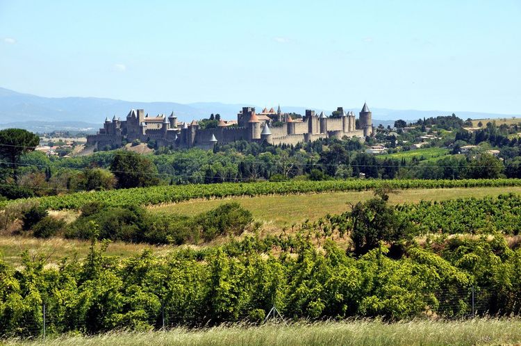 Carcassonne donjon