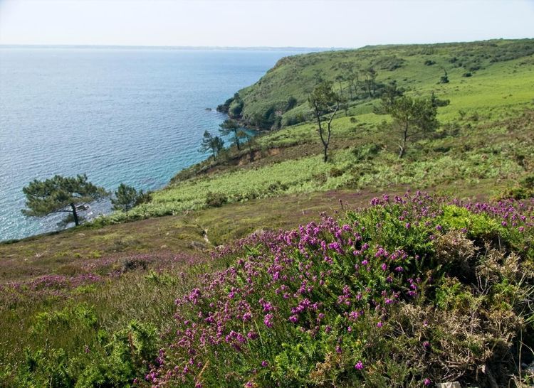 Cap de la Chèvre