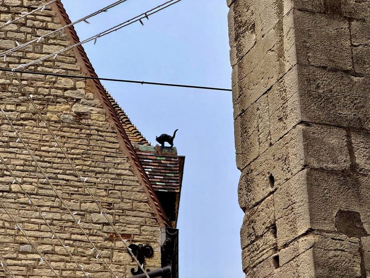 Maison Millière Dijon