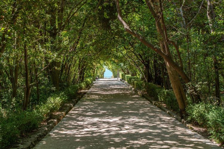 Arboretum de Trsteno