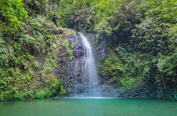 Cascade Martinique