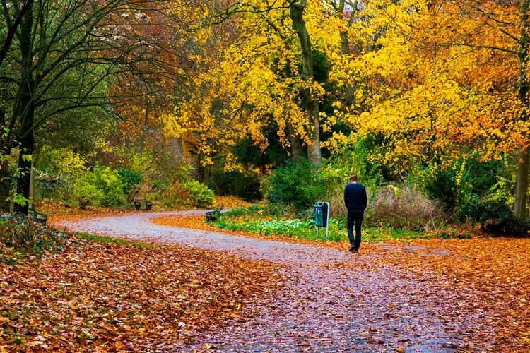 CitadelPark Gand