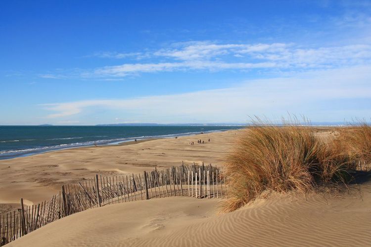 plage-de-espiguette