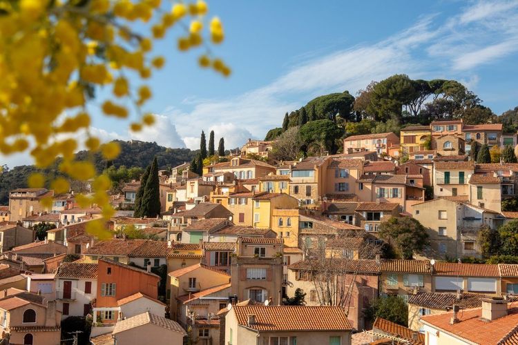 Bormes-les-Mimosas