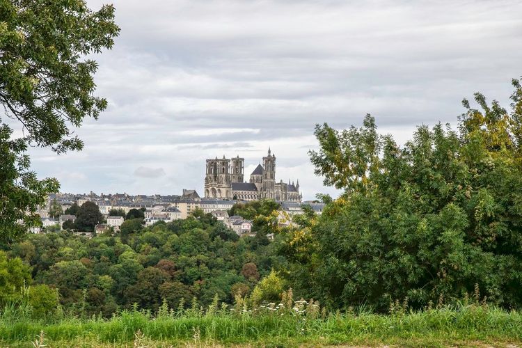 Laon ville médiévale