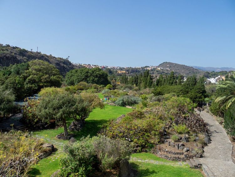 Jardín Botánico Viera y Clavijo