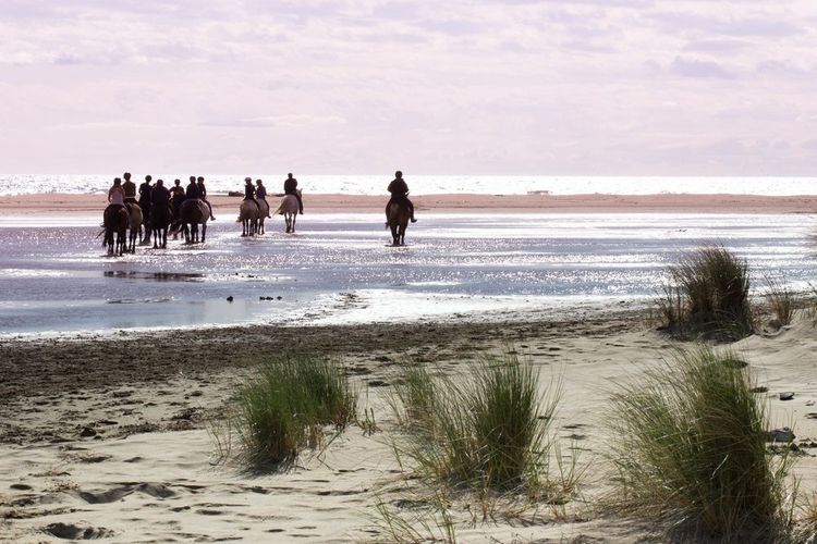 plage-de-espiguette