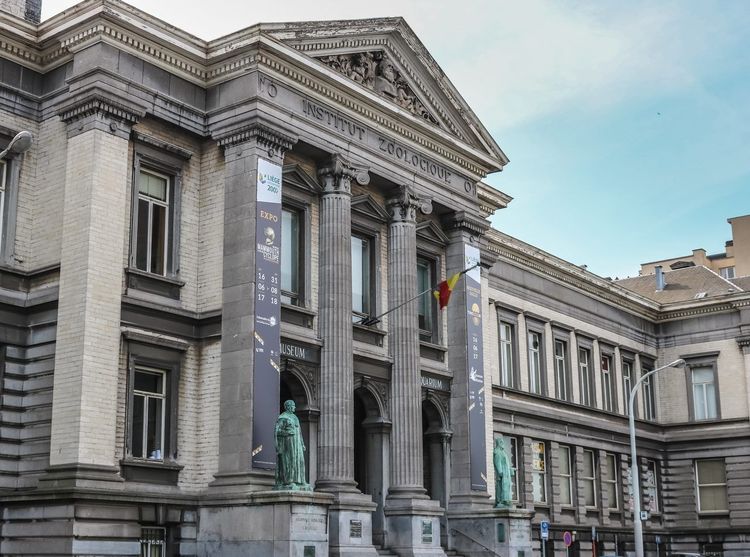 Aquarium-Muséum Liège