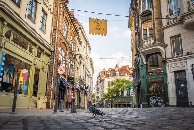 Vieux-Lille shopping