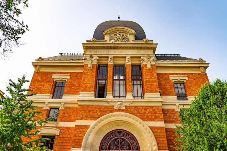 Musée d'Histoire Naturelle de Lille