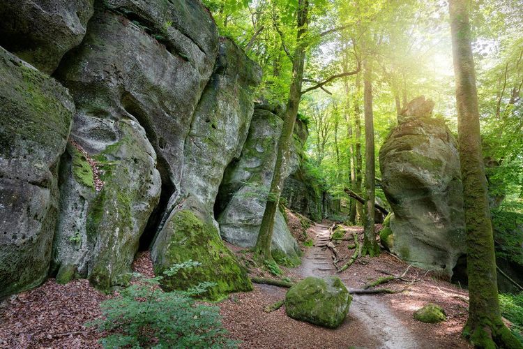 Mullerthal Luxembourg
