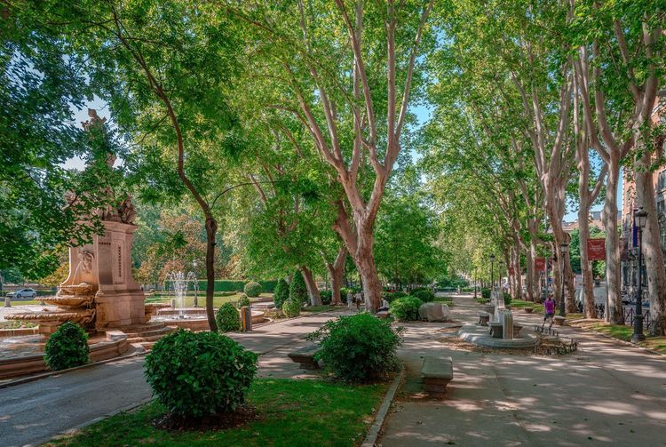 Paseo del Prado