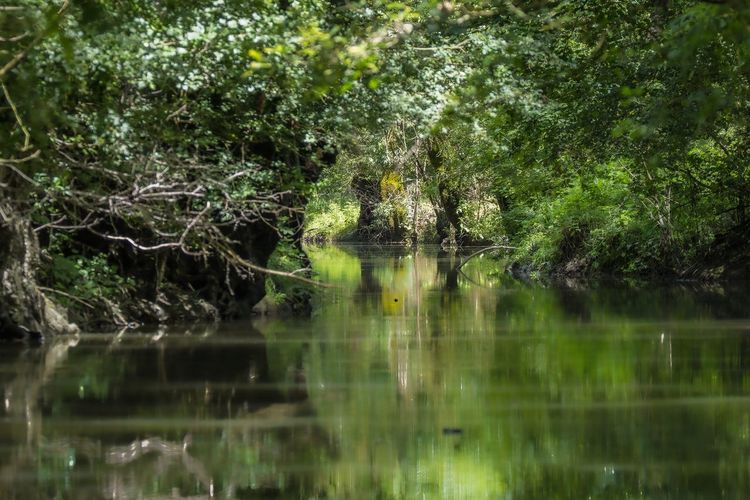 Marais Poitevin canaux