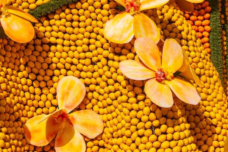 Fête du Citron Menton