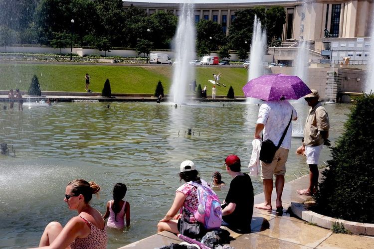 activités été canicule