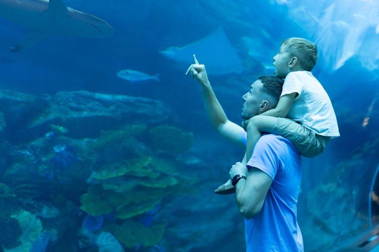famille-devant-aquarium