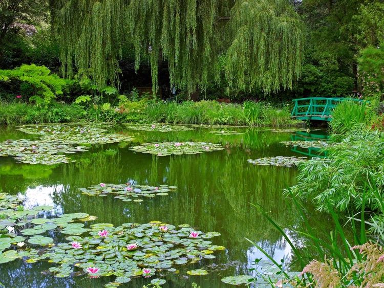 parc-giverny