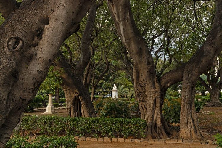 Giardino Garibaldi