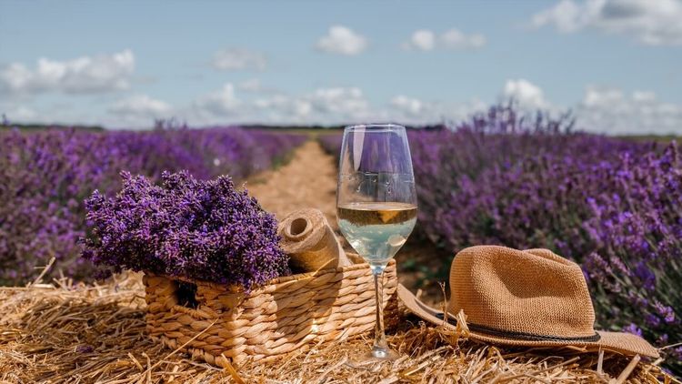 Provence printemps automne