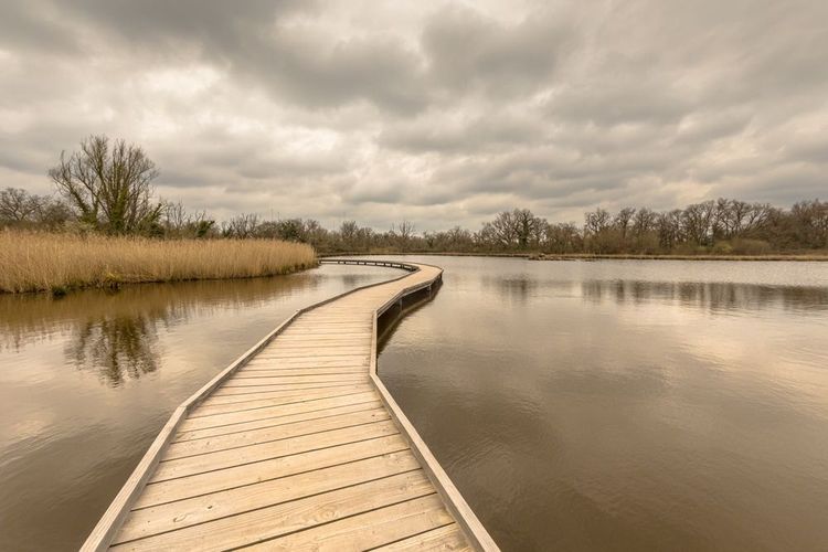 chaussee-bois-etang-rosnay