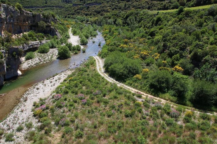 baignade Hérault