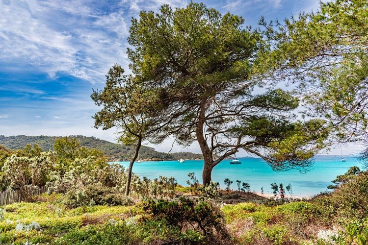 Île de Porquerolles