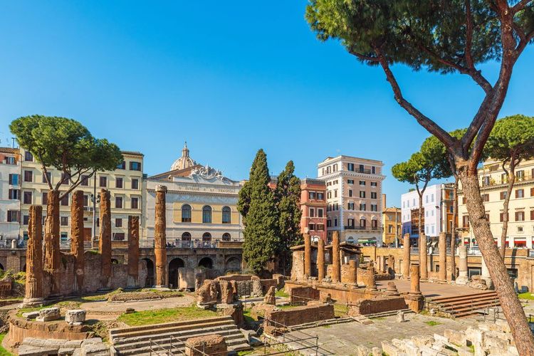 Largo Argentina Rome