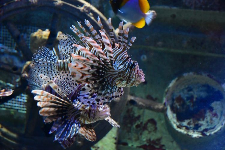 Grand Aquarium Saint-Malo