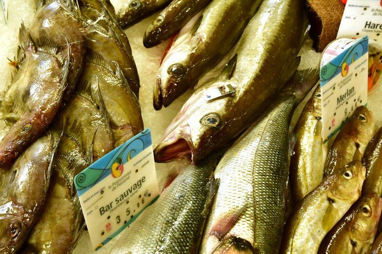 Marché aux poissons Saint-Malo