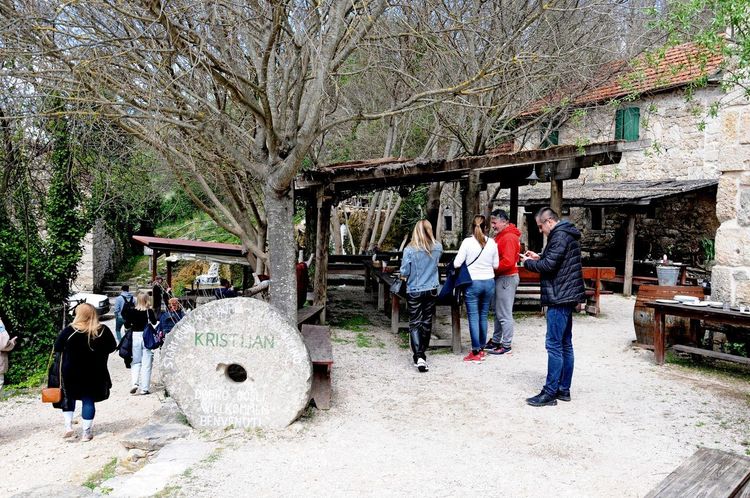 taverne dalmate famille