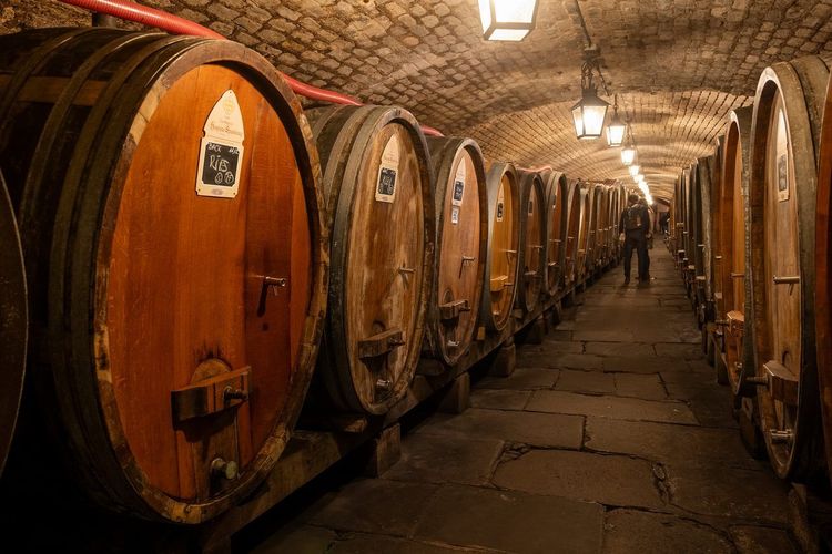 Cave des Hospices de Strasbourg