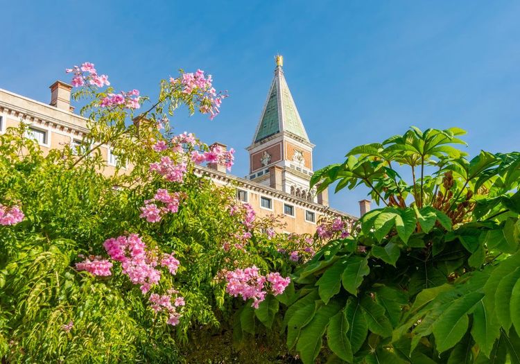 Venise printemps