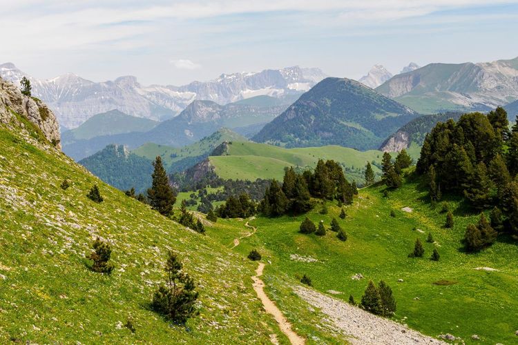 Vercors